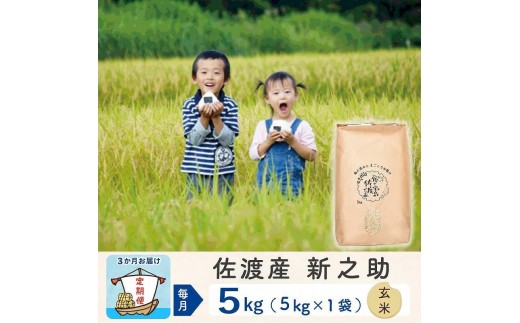 【3か月定期便】佐渡島産 新之助 玄米5kg 令和7年産