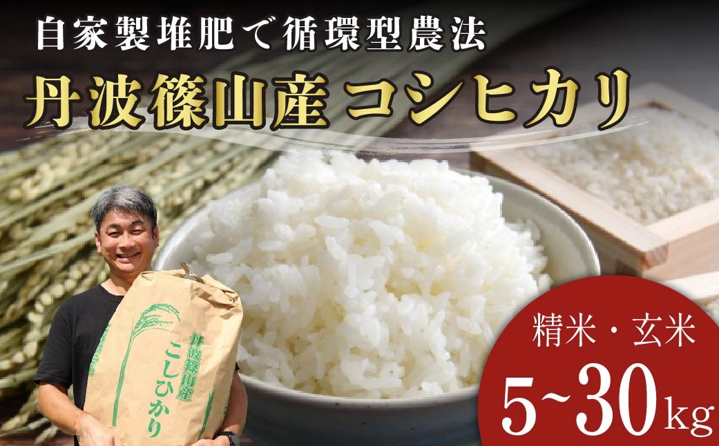 
                  令和7年産　丹波篠山の大地で育まれたコシヒカリ　精米 玄米 5kg～30kg　単一原料米 産地直送米 おいしい お米 コシヒカリ ブランド おこめ 健康 送料無料 おすすめ 人気 口コミ
                