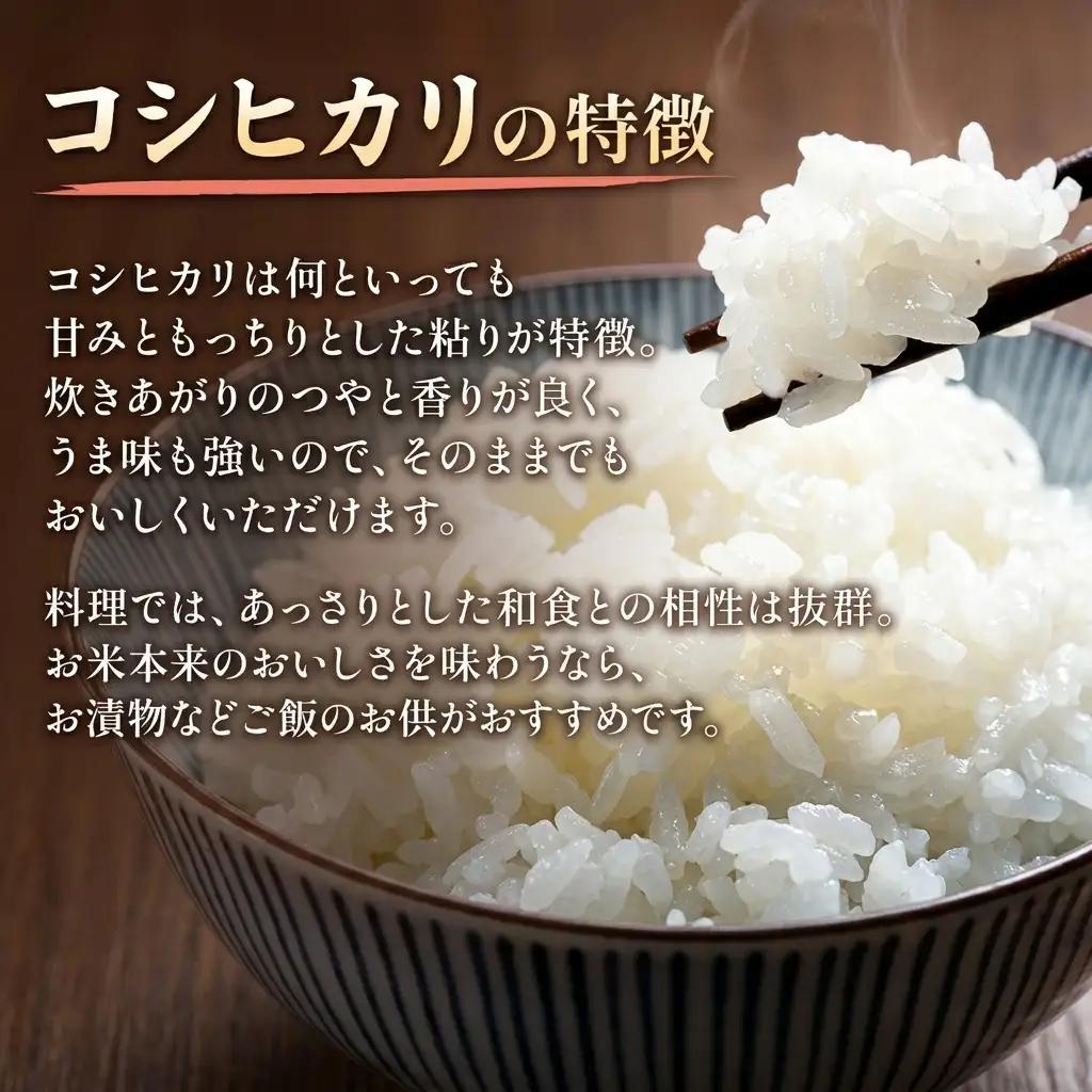 山本農園 コシヒカリ 特別栽培米 10kg 精米 コシヒカリ