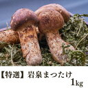 【ふるさと納税】【特選】岩泉まつたけ 直送 1kg【配送不可地域：離島】【1423383】