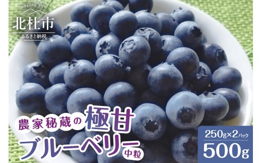 
                  【2027年先行予約】農家秘蔵の極甘ブルーベリー 中粒500g（250g×2パック）　フルーツ 果物 くだもの 期間限定 数量限定 冷蔵発送 甲斐こまベリーファーム
                