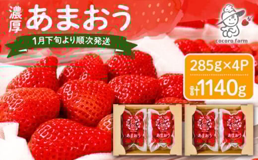 先行予約【2026年1月下旬～4月中旬発送】ココロファームの 濃厚あまおう 285g × 4P 約1,140g 《豊前市》 苺 いちご あまおう 福岡県産【※北海度・沖縄および離島への配送不可】[VAE022]
