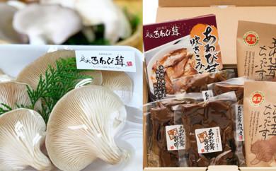【ふるさと納税】 足太 あわび茸 炊き込みご飯の素 佃煮 2種 山椒煮 昆布煮 チップス あわび茸 プレミアムセット あわびたけ あわびだけ 国産 滋賀県 竜王町 送料無料 贈り物 ギフト プレゼント おかず おつまみ おやつ