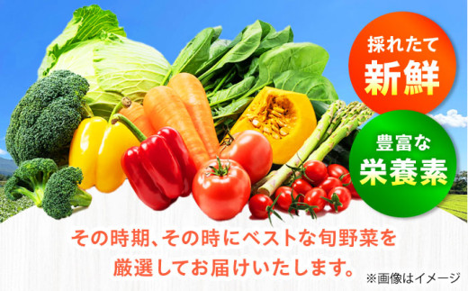 新鮮 野菜 やさい 野菜詰め合わせ 野菜セット 採れたて 彩り豊か 家庭 食卓応援 季節の味 新鮮便 健康志向 おうちごはん