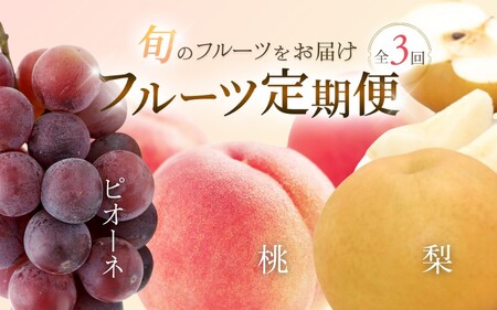 定期便全3回 【7月・8月・9月発送】 和歌山の夏のフルーツをお届け（桃・梨・たねなしピオーネ）【TM179】【TM92236-tkb114】