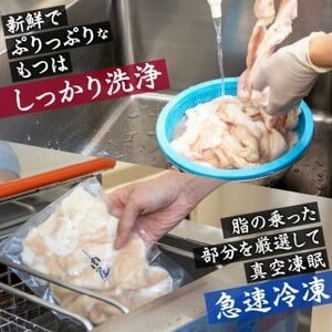 【京都 大盛り 九条ネギ もつ鍋 セット】京都 もつ鍋 セット 4～5人前 九条ねぎ もつ ホルモン 鍋 冷凍
