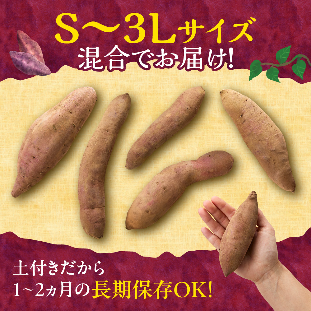 【先行予約】石狩産 土付サツマイモ 紅はるか（S〜3Lサイズ混在） 3kg【10月発送】 | さつまいも サツマイモ 芋 北海道 石狩市