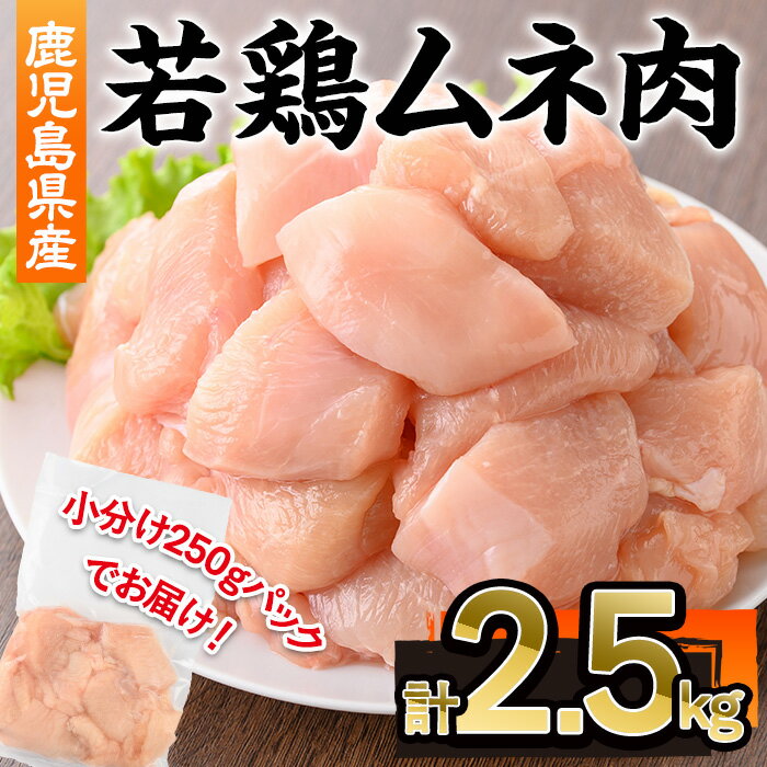 【ふるさと納税】鹿児島県産若鶏ムネ肉(計2.5kg・250g×10P) 鹿児島県 若鶏 鶏肉 鶏 肉 むね ムネ 国産 切身 冷凍【株式会社羽根】