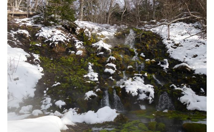 北海道旅行 体験 牧場 狩猟 温泉 焚火 アウトドア 体験型 旅行 オンネトー