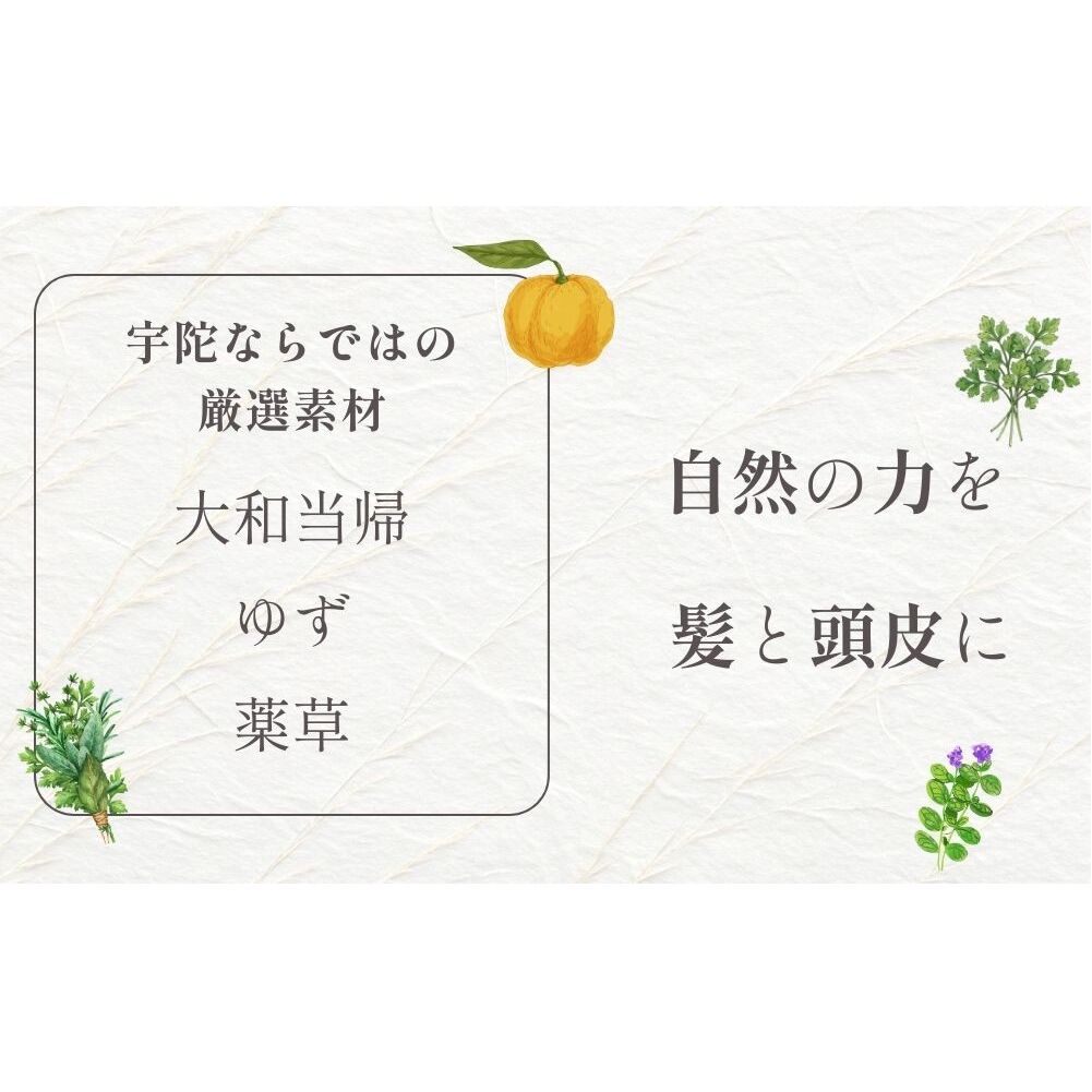 【定期便3回】大和当帰美人 髪だより EXTEシャンプー 詰め替え用 1000ml ／ふるさと納税 エクステ 大和当帰  ボトル メンズ 大容量 いい香り髪の美容液 髪整う 自然の力 頭皮 奈良県 宇