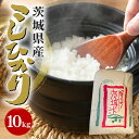 【ふるさと納税】【令和6年産】石岡市産コシヒカリ 10kg 精米 限定20袋 米 お米 こしひかり 白米 こめ コシヒカリ ブランド米 取り寄せ 特産 ごはん ご飯 コメ お取り寄せ ギフト 贈り物 弁当 おにぎり ふっくら ツヤツヤ 甘い 農家直送 産地直送 数量限定 国産 贈答 (G402)