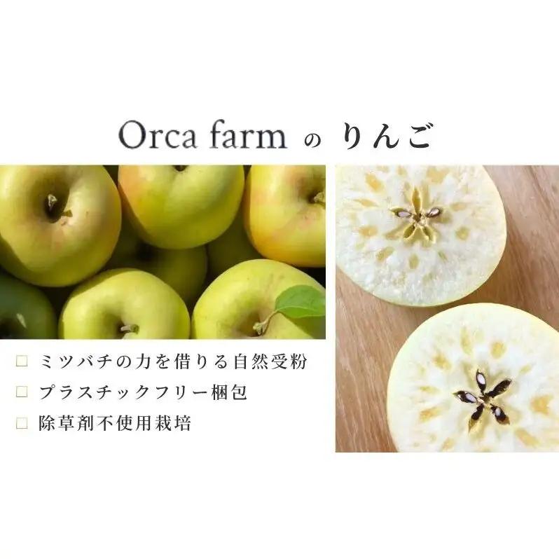 りんご ぐんま名月 家庭用 10kg りんご