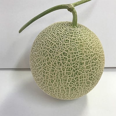 【2025年夏発送】岸田農園産　青肉メロン 5玉入り(サイズ:1玉1.7kg以上)【206】