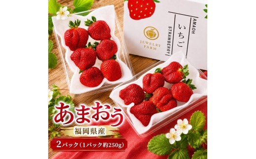 あまおう イチゴ 2パック（1パック約250g) 化粧箱