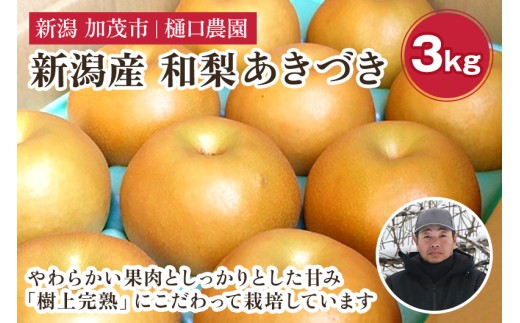【2026年先行予約】和梨 あきづき 3kg（5～9玉）《9月中旬～順次出荷》果物 なし 梨 フルーツ 新鮮 ジューシー 産地 加茂市 樋口農園
