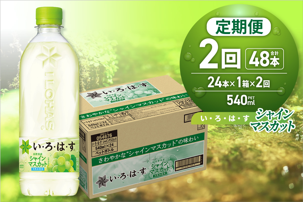 【２ヶ月定期便】い・ろ・は・す シャインマスカット540mlPET×24本｜コカ・コーラ 飲料 ドリンク 飲み物 水 北海道 札幌市