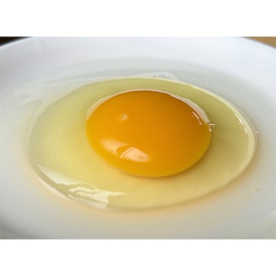 【毎月定期便】ハッピープレイスの自然卵【ハッピーたまご】20個入り(全12回)【配送不可地域：離島】