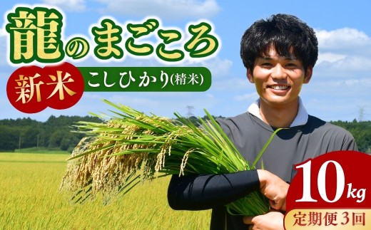 ＜3ヵ月定期便＞【令和7年度新米】龍ケ崎のコシヒカリ 10kg(5kg×2袋) ❙ こしひかり コシヒカリ お米 米 こめ 白米 精米 新米 冷めてもおいしい 美味しい こだわり いばらきみどり認定 おにぎり 茨城県 龍ケ崎市産