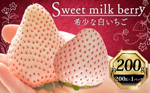 【1月から順次発送開始】 いちご 白いちご 計 200g 計 1 パック 高級 白 イチゴ 苺 セット Sweet milk berry  1 パック 200g × 1 パック 期間限定 数量限定 苺 イチゴ ベリー フルーツ スイーツ デザート 果物 果汁 ストロベリー 甘い  国産 安心 濃厚 新鮮  贈答用 プレゼント くだもの お歳暮 静岡いちご 静岡苺 静岡県 牧之原市 畠農宝