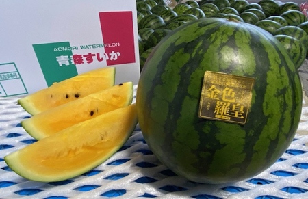 黄色いスイカ 金色羅王 大玉 1玉｜青森産 産直 2025年産 令和7年 夏 すいか 西瓜 果物 フルーツ 旬 特産 藤農園 農福連携 ラオウ らおう 羅皇 [0621]