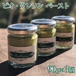 ビオクレソンペースト (90g×3個)　※離島への配送不可 DSL003