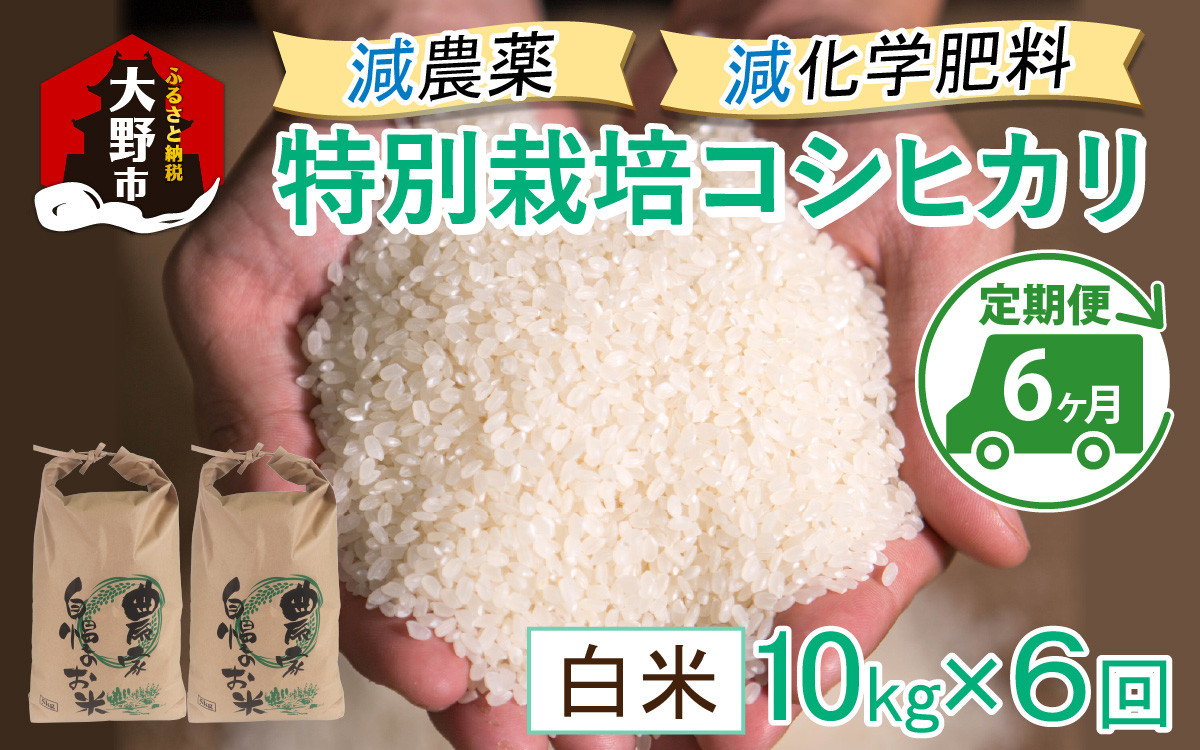 
                  【先行予約】【令和8年産 新米】【6ヶ月定期便】減農薬・減化学肥料の特別栽培コシヒカリ 白米 10kg（5kg×2袋）×6回 計60kg農家直送 福井県大野市産
                
