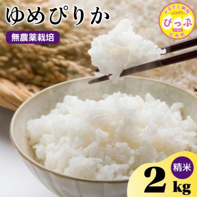 ふるさと納税 比布町 令和7年産 今野農園 ゆめぴりか 精米2kg【ピリカ(株)】