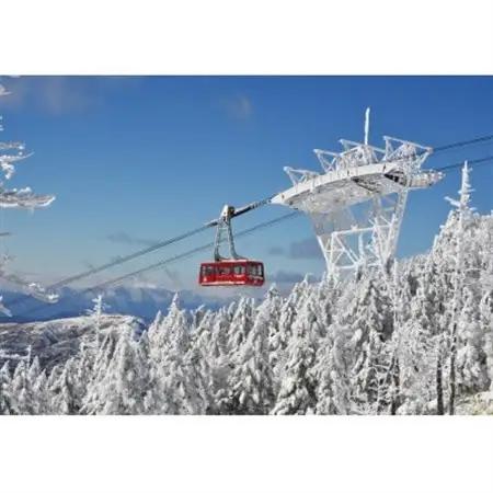 北八ヶ岳ロープウェイ往復乗車券(おとな) 4枚_旅行券・チケット  体験チケット _【1556158】
