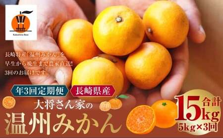 【年3回定期便】 大将さん家の温州みかん 各約5kg （合計：3回 （約15kg） ） 【11月・12月・1月配送】 ／ 早生みかん 伊木力系温州みかん 晩生みかん 柑橘 柑橘類 みかん 温州みかん フルーツ 果物 くだもの 長崎県 長崎市 常温