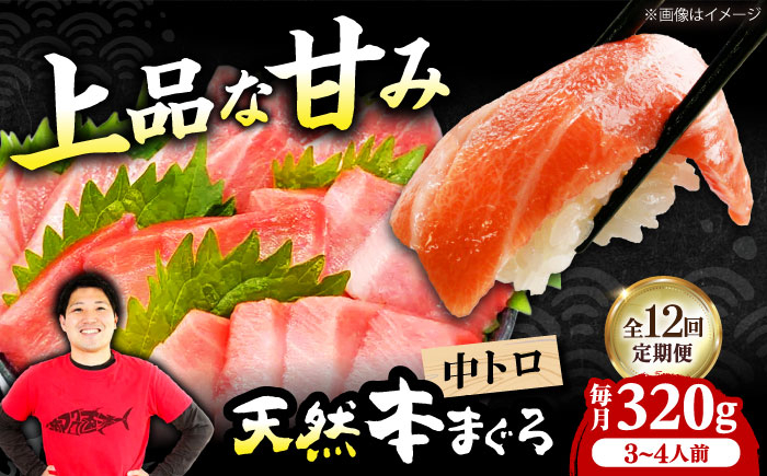 
                  【全12回定期便】極上！たね熟天然本まぐろ中トロ(320g) 天然 マグロ 鮪 中トロ 刺身 魚 魚介 魚介類 海鮮丼 本マグロ 本まぐろ 本鮪 中とろ 中トロ 冷凍 お刺身 お寿司 大阪府高槻市/本まぐろ直売所 [AOCE033] 本マグロ 刺身 寿司 海鮮 旨み 切り身 鮮度抜群 海鮮丼 お取り寄せ 高級魚 ギフト 贈答用 海の幸 家飲み ごちそう おつまみ 手巻き寿司 お祝い パーティー
                