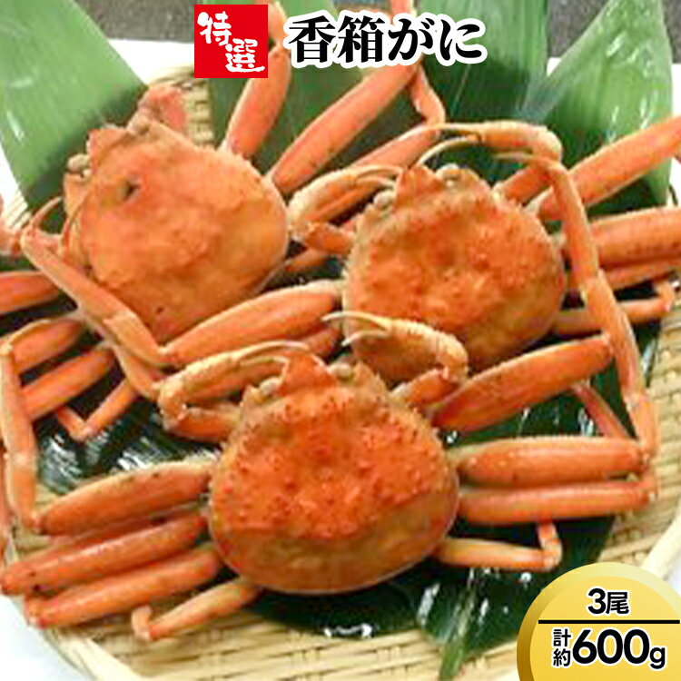 【ふるさと納税】【特選】香箱がに3尾（計約600g）　ずわい蟹 ずわいガニ ズワイガニ 蟹 カニ ※2025年11月中旬～2026年1月上旬頃に順次発送予定