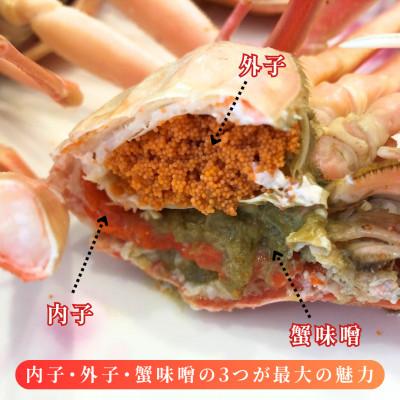ふるさと納税 村上市 【数量・期間限定】【訳あり】新潟県村上市寝屋漁港産　セコガニ 約1kg(5〜9尾入)C4088 |  | 01