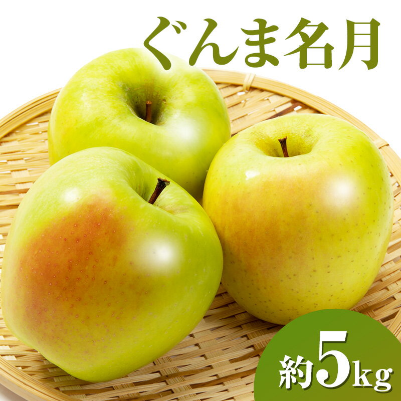 【ふるさと納税】ぐんま名月約5kg りんご 長野県産　お届け：2025年11月上旬～11月下旬まで