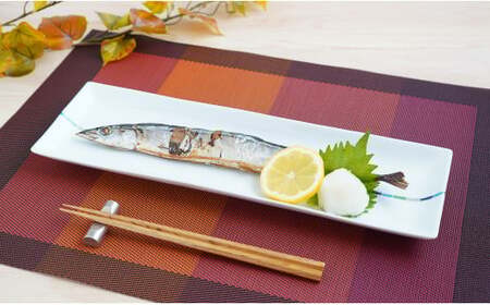 有田焼 irodoriライン パーティー長皿 2枚セット【よう楽庵・たかす】食器 うつわ 器 磁器 陶磁器 皿 長皿 長角皿 プレート 2枚 セット ペア 彩 パーティー 盛皿 魚 和食 洋食 A40-434