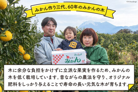 BD020 森崎果樹園自慢の『 はるか 』5kg [長崎県 島原市]