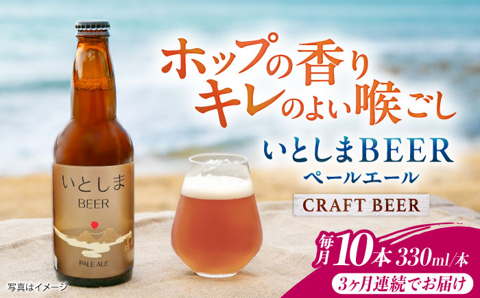 
            【全3回定期便】いとしまBEER (ペールエール) 330ml×10本 糸島市 / 蔵屋 クラフトビール [AUA056]
          
