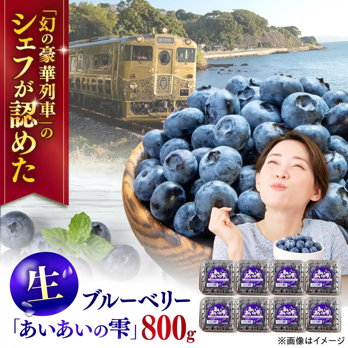 【発送中！】ブルーベリー生果800ｇQAT022 ベリー フルーツ