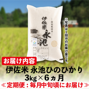 C0-09 【定期便】令和5年産 特別栽培米 伊佐米永池ひのひかり(計18kg・3kg×6ヶ月)鹿児島でも極良食味のお米が出来る永池地区で作ったお米！九州米サミット食味コンテスト最優秀賞を2回受賞【エ