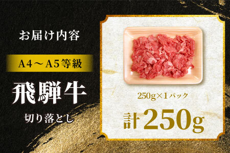  飛騨牛 切り落とし 250g A5 A4 国産 牛 黒毛和牛 和牛 牛肉 薄切り 訳あり 牛丼 すき焼き しゃぶしゃぶ 肉のひぐち