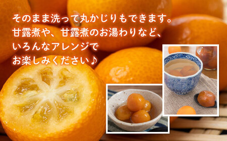 【先行予約】＜2026年発送＞温室金柑1kg 1箱（250g×4パック）_K001-025