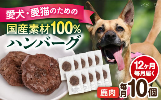 【全12回定期便】ペットフード 鹿肉 100%ハンバーグ 10個セット ペット 犬 猫 手作り 国産 てづくり こだわり ドッグフード  横須賀 【ペットフードYM japan】 [AKEX013]