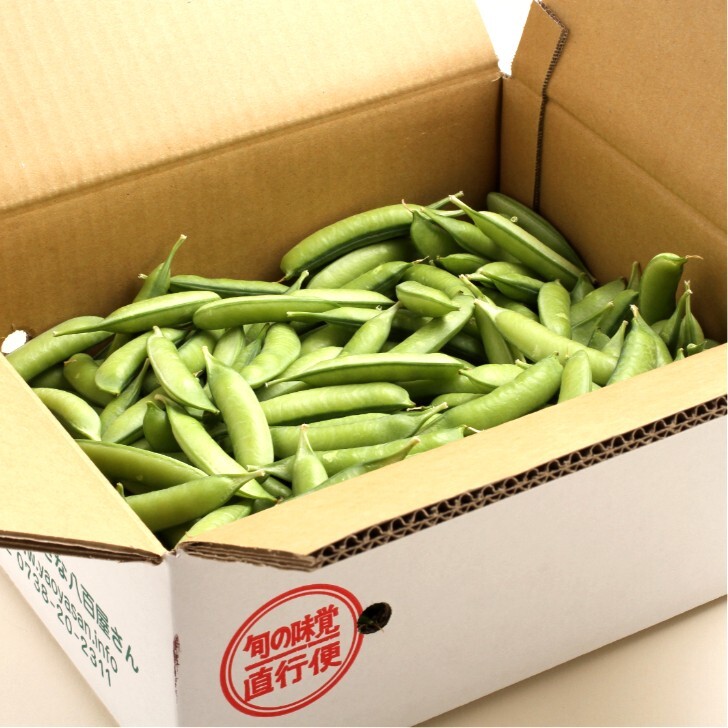 うすい豆 紀州うすい 1kg うすいえんどう《先行予約》【2027年2月より順次発送予定】【1314】