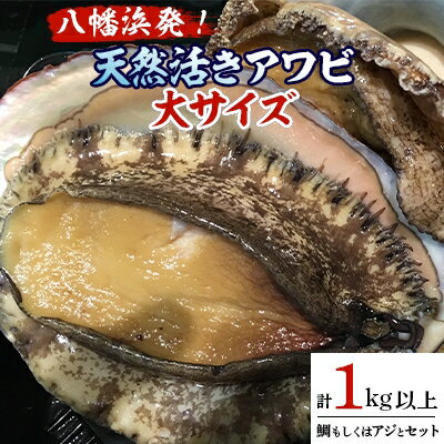 【ふるさと納税】八幡浜発!竹中水産の「アワビ三昧大サイズ」600g(鯛もしくはアジとセット)　【H22-212】_ 鮑 あわび アワビ 活きあわび 魚介 魚介類 海鮮 天然 活き 鮮魚 刺身 冷蔵 大サイズ セット 食べ比べ BBQ 【配送不可地域：離島・北海道・沖縄県】【1043108】