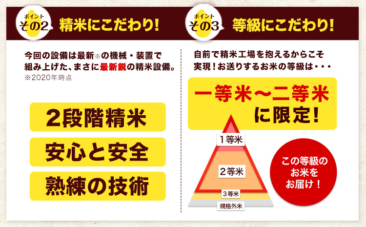 熊本県推奨品種 令和3年産 あきまさり 12kg(6kg×2袋) 無洗米 令和3年《7-14営業日以内に出荷予定(土日祝除く)》---ng_aki3_wx_22_10000_m12kg---st-p