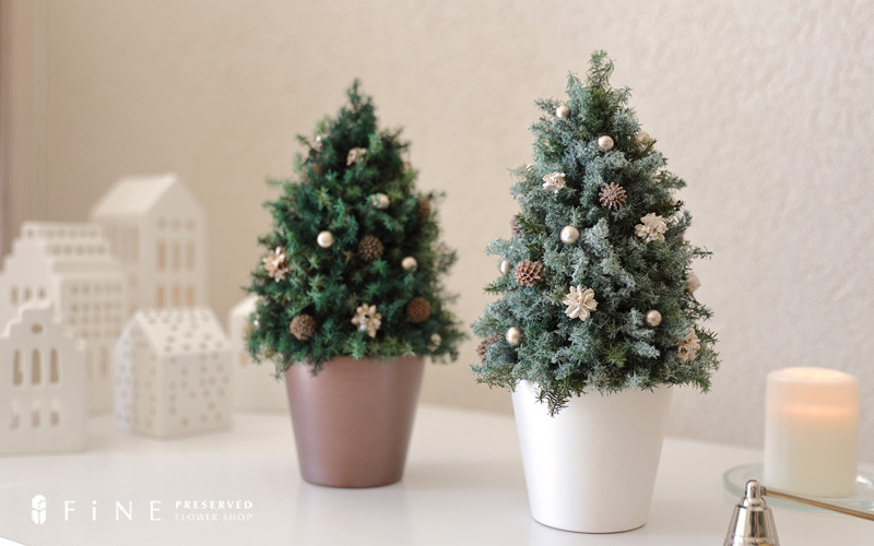 
            ホリデーツリー【クリスマス限定！申込は12月1日まで】
          