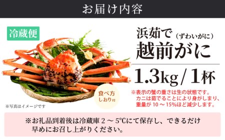 越前がに本場の越前町からお届け！越前がに浜茹で特大サイズ×1杯（生で1.3kg以上）【かに カニ 蟹】【2月発送分】 [e14-x010_02] 食べ方しおり付 福井県 雄 ズワイガニ ボイル 冷蔵 