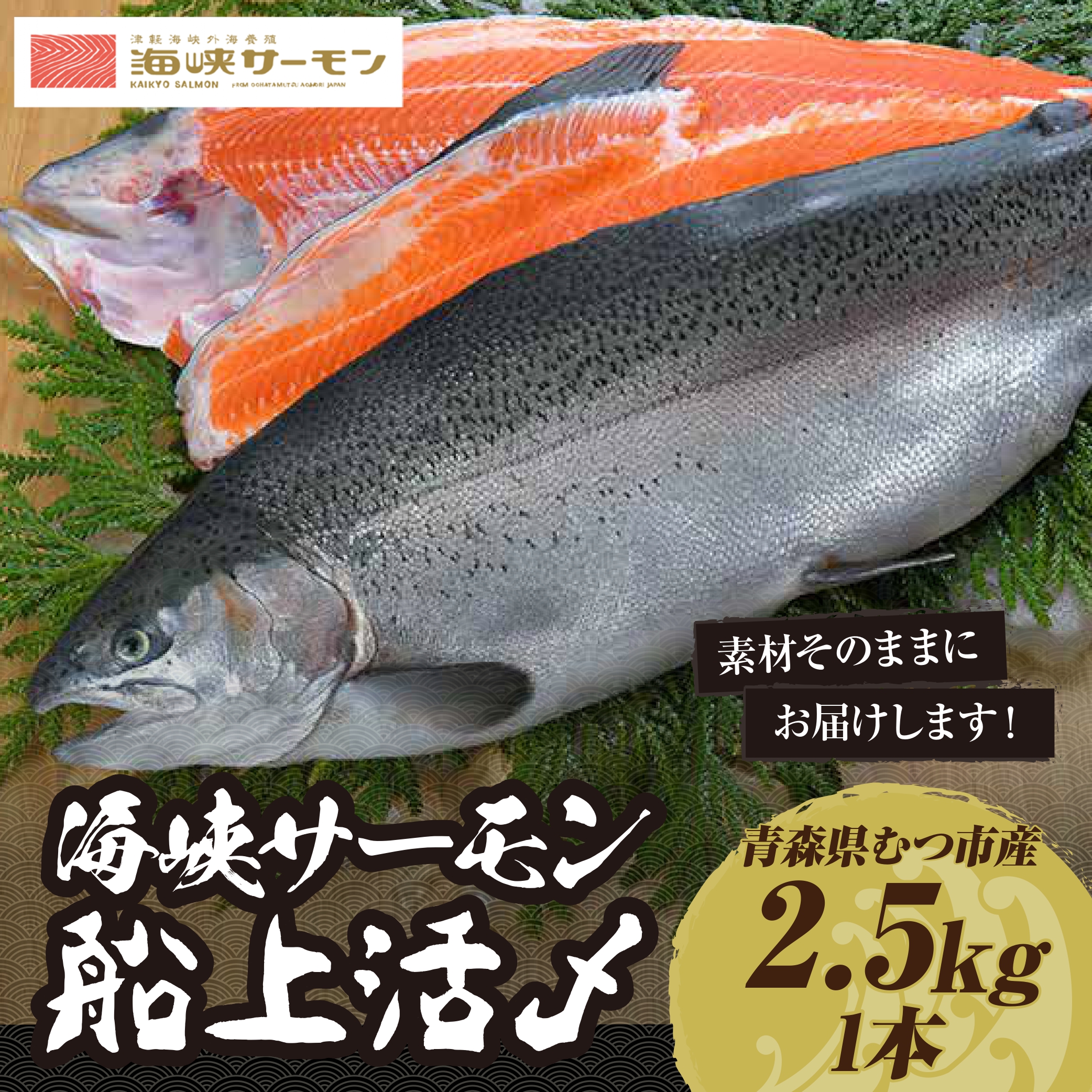 【期間限定発送】海峡サーモン船上活〆2.5kg１本(冷蔵)