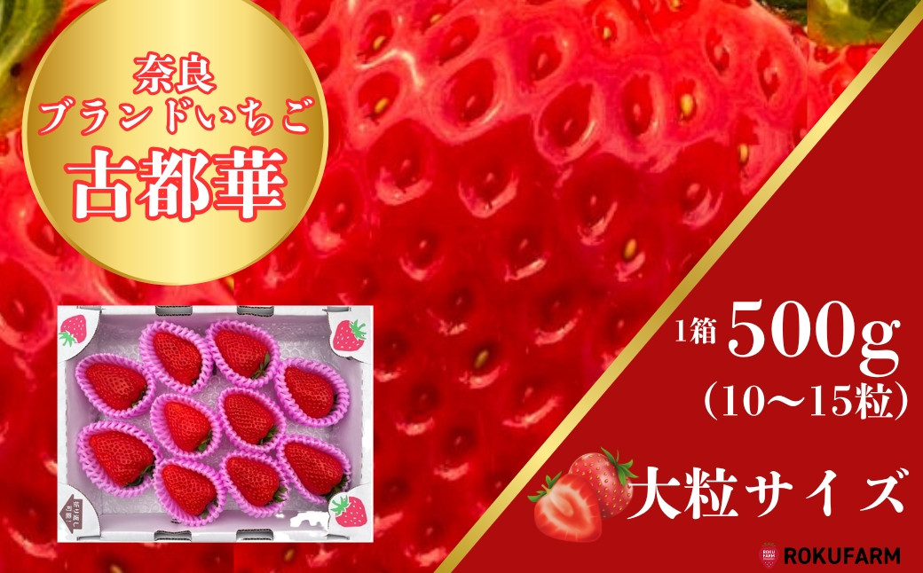 
            「6FARMの 古都華いちご」 限定出荷 〈6FARM〉 いちご 苺 奈良ブランド苺 イチゴ ブランド 古都華 大粒 奈良県 奈良市 なら 20-037
          