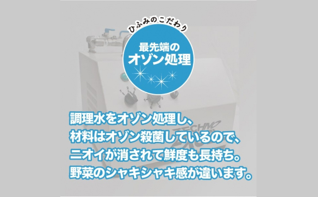 【全6回定期便】≪具材付≫長崎冷凍ちゃんぽん (4食) 麺 麺類 簡単調理