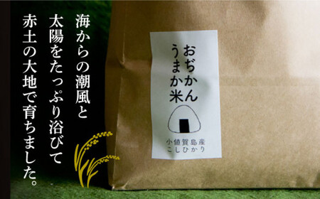 【2回定期便】 小値賀町産 こしひかり 10kg (5kg×2回) おぢかんうまか 米 白米 【しまうま商会】[DAB038]/ 長崎 お米 こめ 精米 コシヒカリ 5キロ 定期便